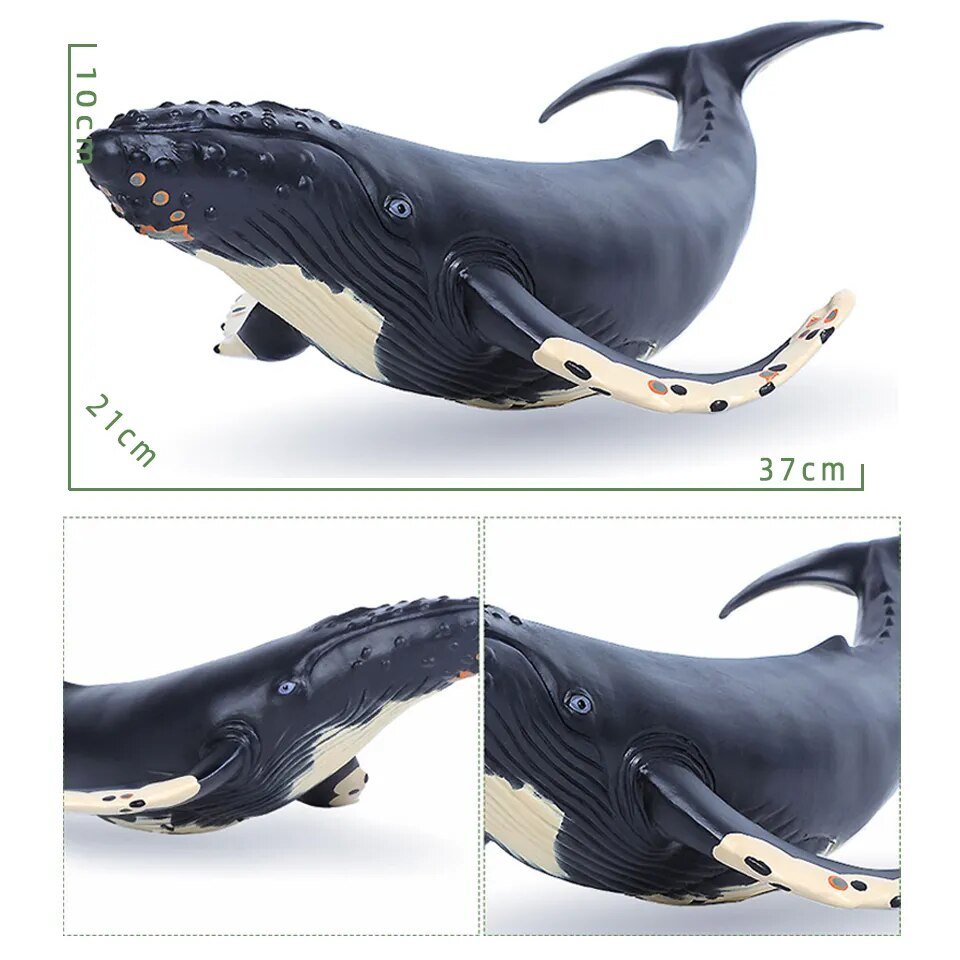 Large Soft Rubber Sea Life Figure whale model with measurements for educational display.