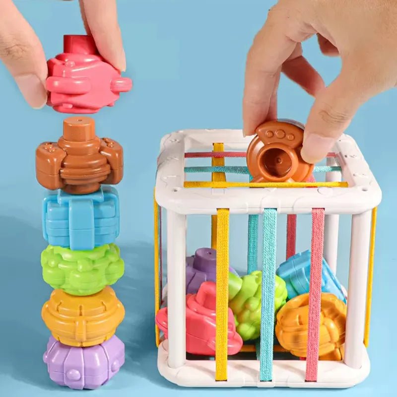 Montessori Shape Sorter Blocks with stacking rings and a transparent cube for infant learning play.