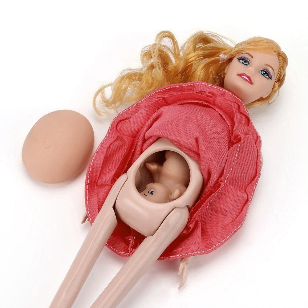 Pregnant doll with removable belly and tiny baby inside for pretend play and new sibling stories.
