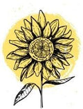 Sunflower Shipping Protection order coverage add-on for protecting parcels against loss, theft, and damage in transit.