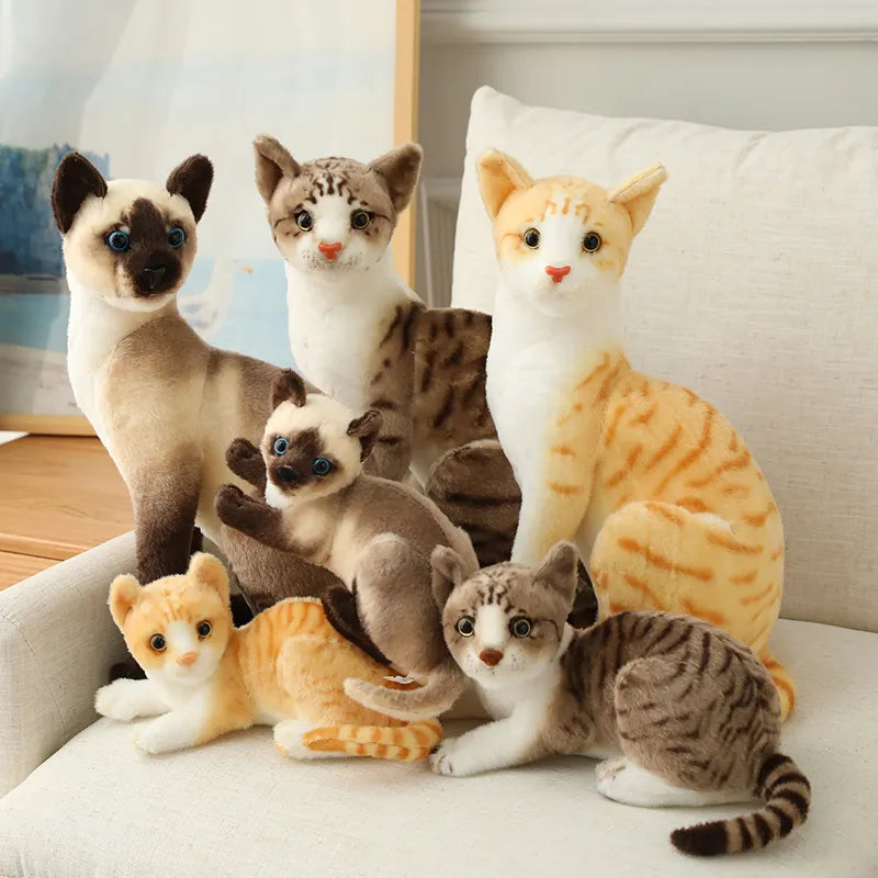 Lifelike Siamese & American Shorthair Plush Cats