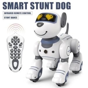 Funny RC Stunt Dog
