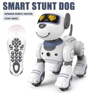 Funny RC Stunt Dog