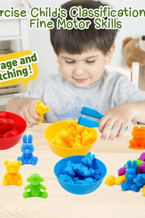 Animal Matching Game: Montessori Educational Toy