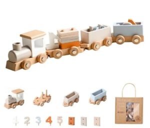 Montessori Wooden Train & Trolley